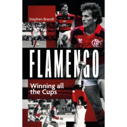 Flamengo: Winning all the Cups