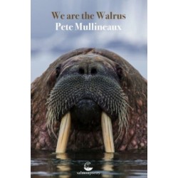 We Are The Walrus