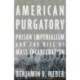 American Purgatory: Prison Imperialism and the Rise of Mass Incarceration