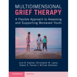 Multidimensional Grief Therapy: A Flexible Approach to Assessing and Supporting Bereaved Youth