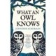 What an Owl Knows: The New Science of the World’s Most Enigmatic Birds