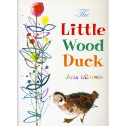The Little Wood Duck