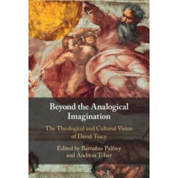 Beyond the Analogical Imagination: The Theological and Cultural Vision of David Tracy