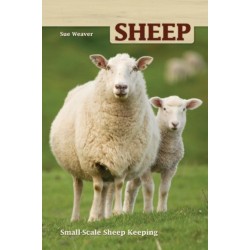 Sheep: Small Scale Sheep Keeping