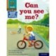 Read Write Inc. Phonics: Can you see me? (Orange Set 4 Book Bag Book 4)
