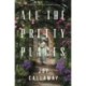 All the Pretty Places: A Novel of the Gilded Age