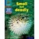 Read Write Inc. Phonics: Small but deadly (Blue Set 6 NF Book Bag Book 8)