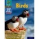 Read Write Inc. Phonics: 4 Birds (Blue Set 6 NF Book Bag Book)