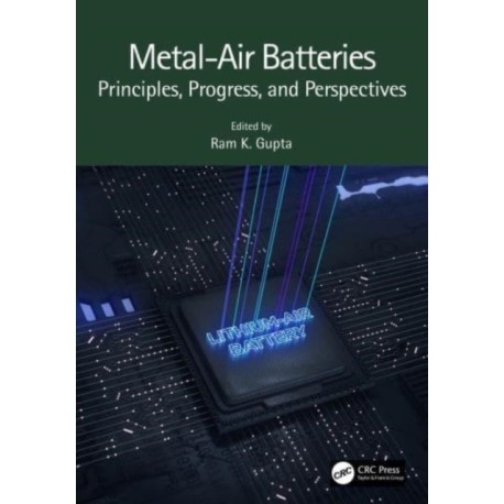 Metal-Air Batteries: Principles, Progress, and Perspectives