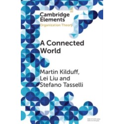 A Connected World: Social Networks and Organizations