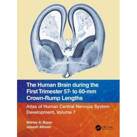 The Human Brain during the First Trimester 57- to 60-mm Crown-Rump Lengths: Atlas of Human Central Nervous System Development, Volume 7