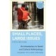 Small Places, Large Issues: An Introduction to Social and Cultural Anthropology