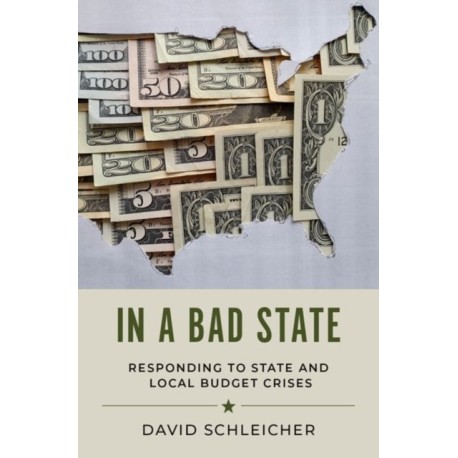 In a Bad State: Responding to State and Local Budget Crises
