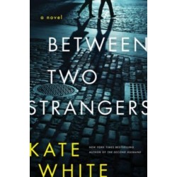 Between Two Strangers: A Novel of Suspense