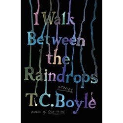 I Walk Between the Raindrops: Stories