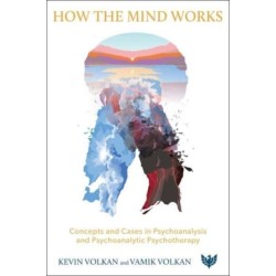 How the Mind Works: Concepts and Cases in Psychoanalysis and Psychotherapy