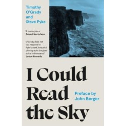 I Could Read the Sky