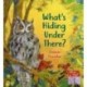 What's Hiding Under There?: A Magical Lift-the-Flap Book