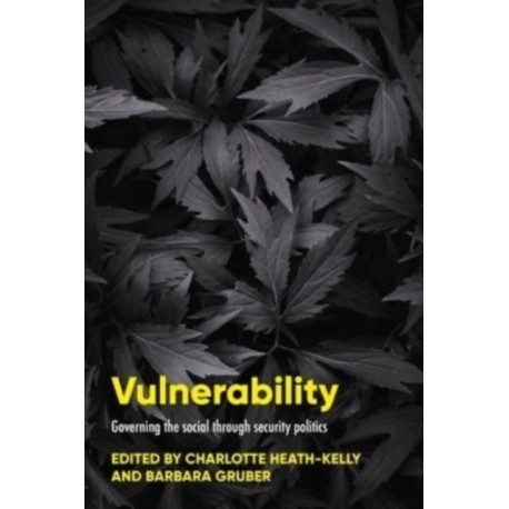 Vulnerability: Governing the Social Through Security Politics
