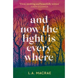 And Now the Light is Everywhere: A stunning debut novel of family secrets and redemption