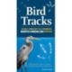 Bird Tracks: Easily Identify 55 Common North American Species