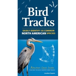 Bird Tracks: Easily Identify 55 Common North American Species