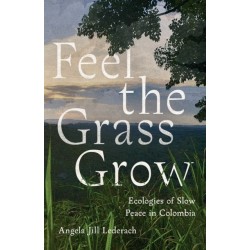 Feel the Grass Grow: Ecologies of Slow Peace in Colombia