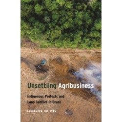 Unsettling Agribusiness: Indigenous Protests and Land Conflict in Brazil