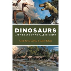 Dinosaurs and Other Ancient Animals of Big Bend