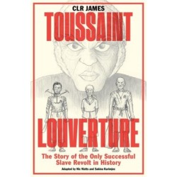 Toussaint Louverture: The Story of the Only Successful Slave Revolt in History