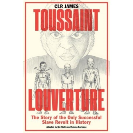 Toussaint Louverture: The Story of the Only Successful Slave Revolt in History