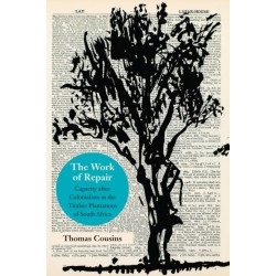 The Work of Repair: Capacity After Colonialism in the Timber Plantations of South Africa