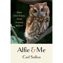 Alfie and Me: What Owls Know, What Humans Believe
