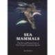 Sea Mammals: The Past and Present Lives of Our Oceans’ Cornerstone Species