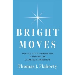 Bright Moves: How U.S. Utility Innovation Is Driving the Cleantech Transition
