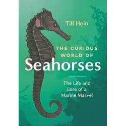 The Curious World of Seahorses: The Life and Lore of a Marine Marvel