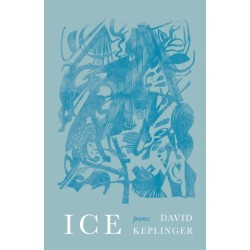 Ice: Poems