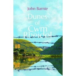 Dunes of Cwm Rheidol