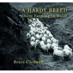 A Hardy Breed: Sheep Farming in Wales