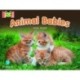 Bug Club Reading Corner: Age 4-7: Animal Babies