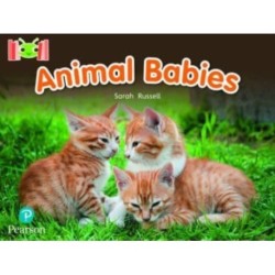 Bug Club Reading Corner: Age 4-7: Animal Babies