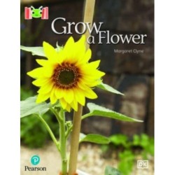 Bug Club Reading Corner: Age 4-7: Grow a Flower