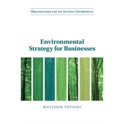 Environmental Strategy for Businesses