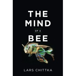 The Mind of a Bee