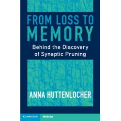 From Loss to Memory: Behind the Discovery of Synaptic Pruning