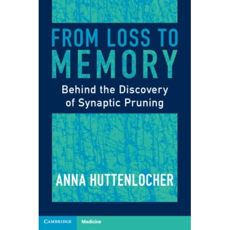 From Loss to Memory: Behind the Discovery of Synaptic Pruning