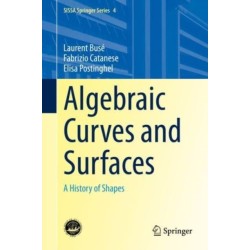 Algebraic Curves and Surfaces: A History of Shapes