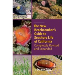 The New Beachcombers Guide to Seashore Life of Californi: Completely Revised and Expanded 2023