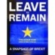 Leave to Remain: A Snapshot of Brexit