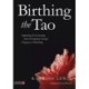 Birthing the Tao: Supporting the Incarnating Soul's Development through Pregnancy or Rebirthing
